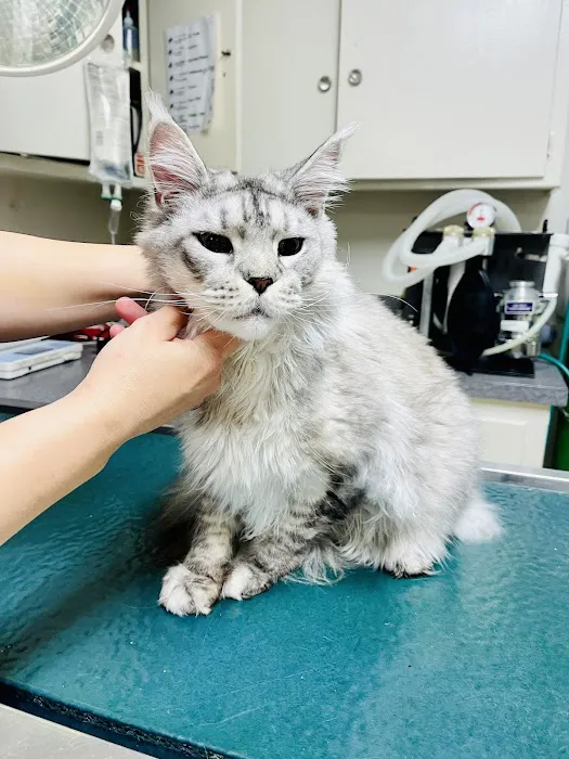 Mesa West Pet Hospital Picture 6