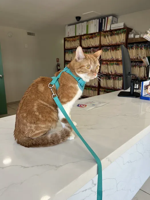 Mesa West Pet Hospital Picture 4