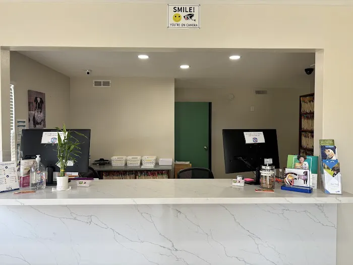 Mesa West Pet Hospital Picture 10