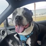 Ranch Heights Veterinary