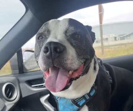 Ranch Heights Veterinary