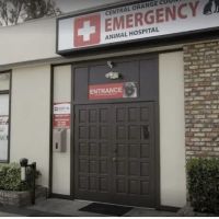 Central Orange County Emergency Animal Hospital ico