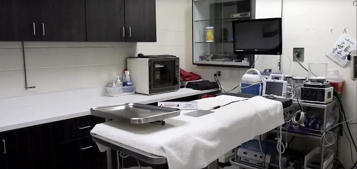 Central Orange County Emergency Animal Hospital Picture 8
