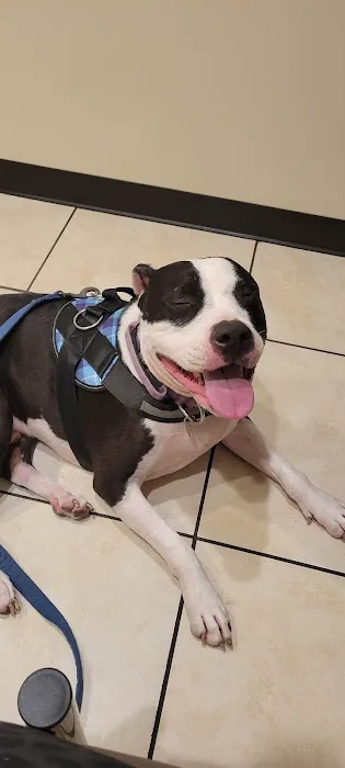 Newport Mesa Animal Hospital Picture 1