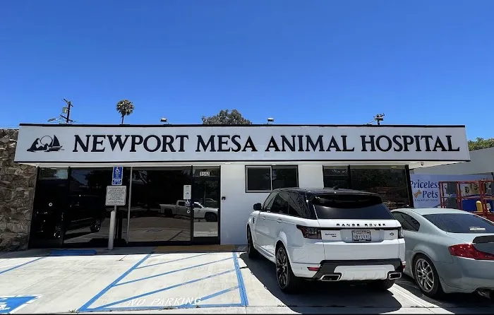 Newport Mesa Animal Hospital Picture 2