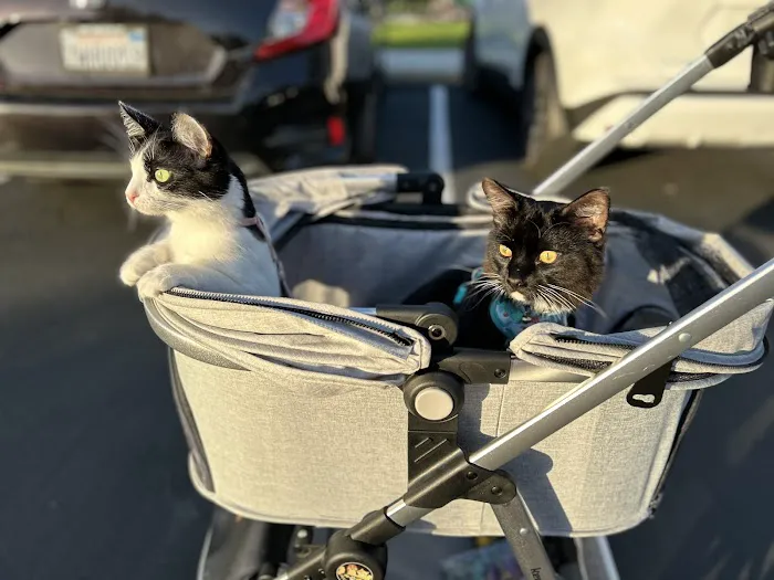 Newport Mesa Animal Hospital Picture 7