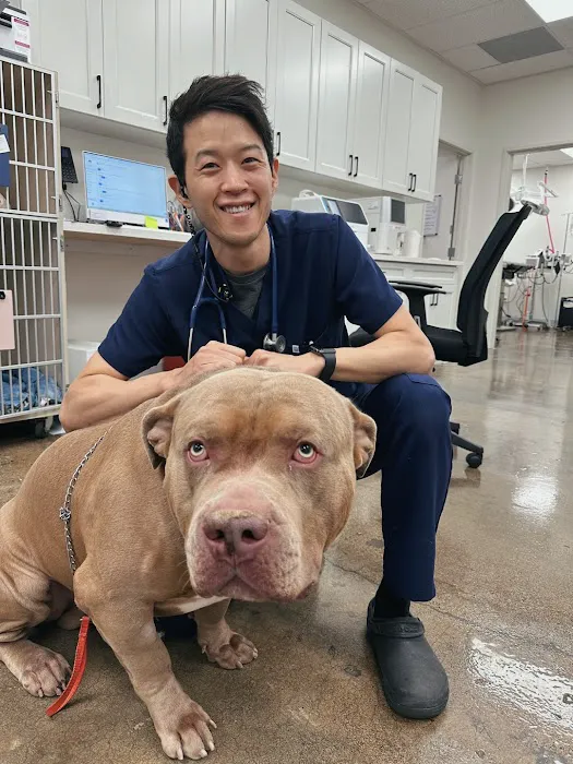 Lee Animal Hospital of Orange County: Walk-Ins Welcome Picture 2