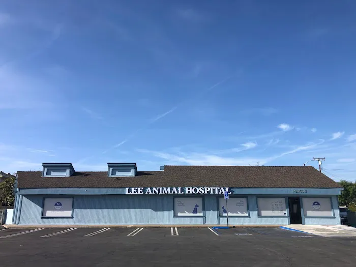 Lee Animal Hospital of Orange County: Walk-Ins Welcome Picture 1