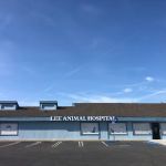 Lee Animal Hospital of Orange County: Walk-Ins Welcome