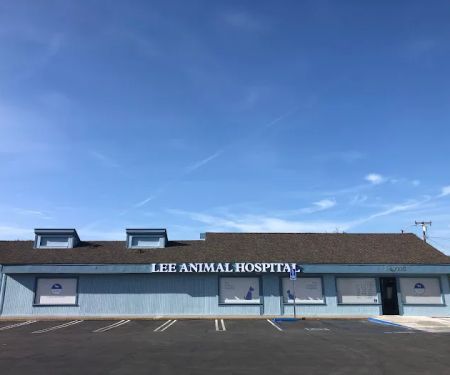 Lee Animal Hospital of Orange County: Walk-Ins Welcome