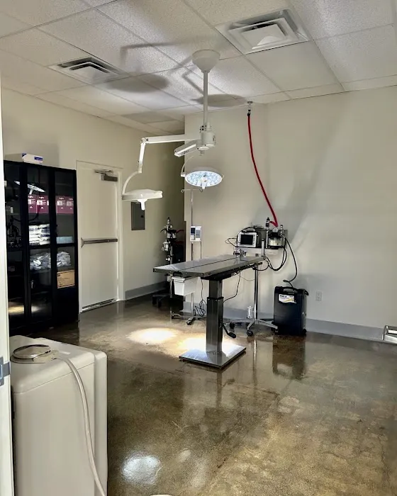 Lee Animal Hospital of Orange County: Walk-Ins Welcome Picture 8