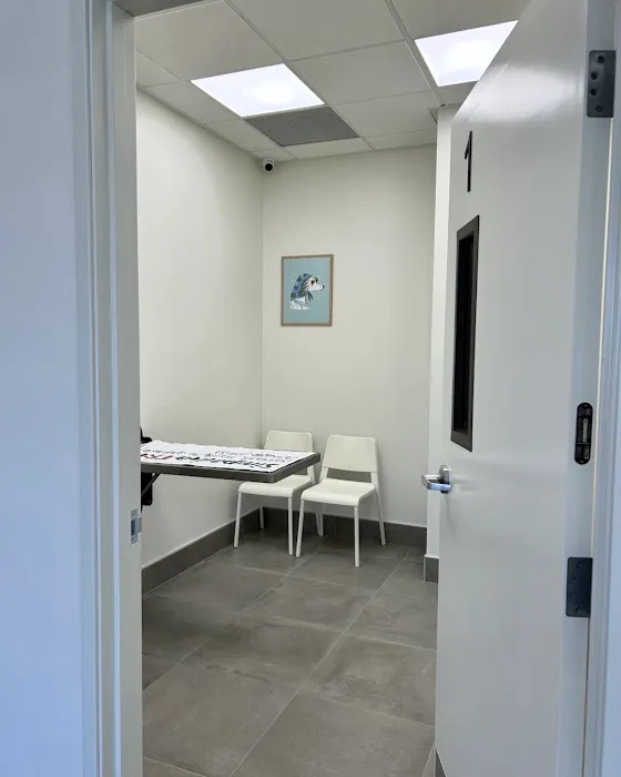 Lee Animal Hospital of Orange County: Walk-Ins Welcome Picture 7