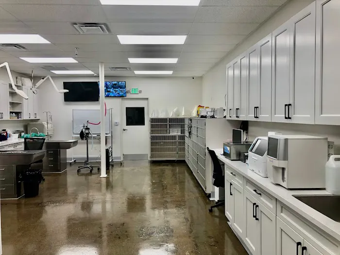 Lee Animal Hospital of Orange County: Walk-Ins Welcome Picture 6