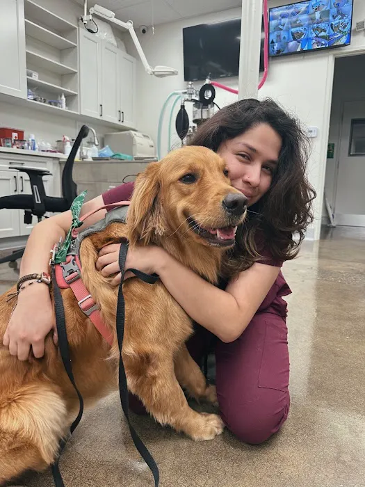 Lee Animal Hospital of Orange County: Walk-Ins Welcome Picture 9
