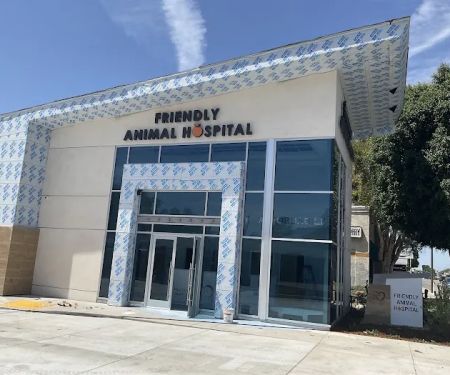 Orange Friendly Animal Hospital