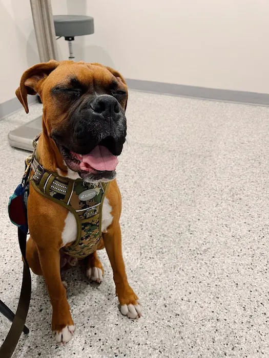 East Chapman Veterinary Center Picture 1
