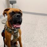 East Chapman Veterinary Center