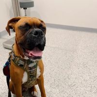 East Chapman Veterinary Center ico