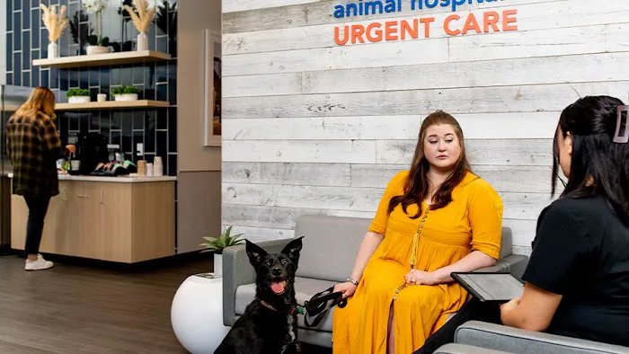VCA Animal Hospitals Urgent Care - Tustin Picture 9