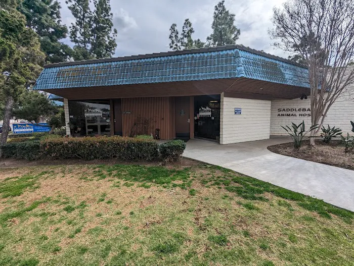 Saddleback Animal Hospital Picture 1