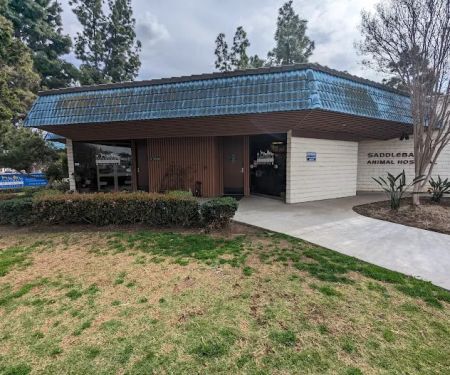 Saddleback Animal Hospital