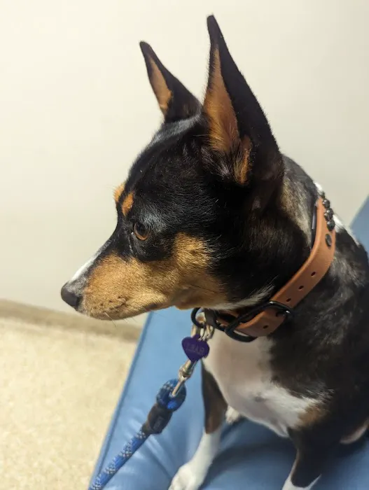 Saddleback Animal Hospital Picture 5
