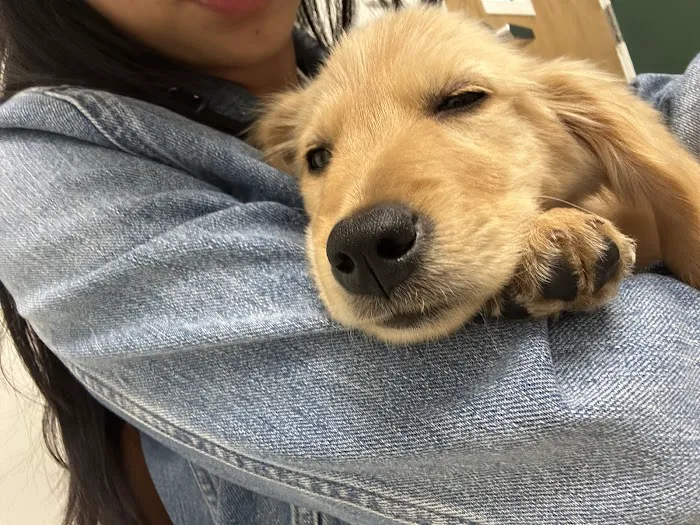 Tustin Village Animal Hospital Picture 1