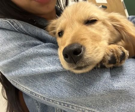 Tustin Village Animal Hospital