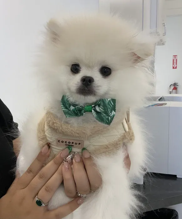 Tustin Village Animal Hospital Picture 2