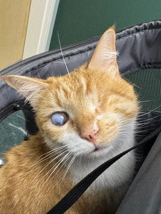 Tustin Village Animal Hospital Picture 7
