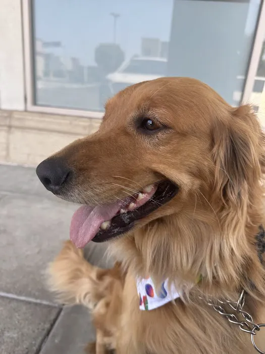 Tustin Village Animal Hospital Picture 9