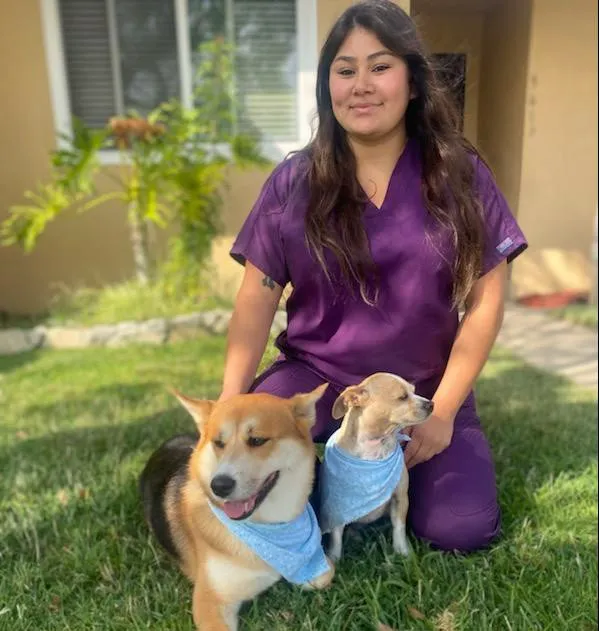 Tustana Animal Hospital Picture 2