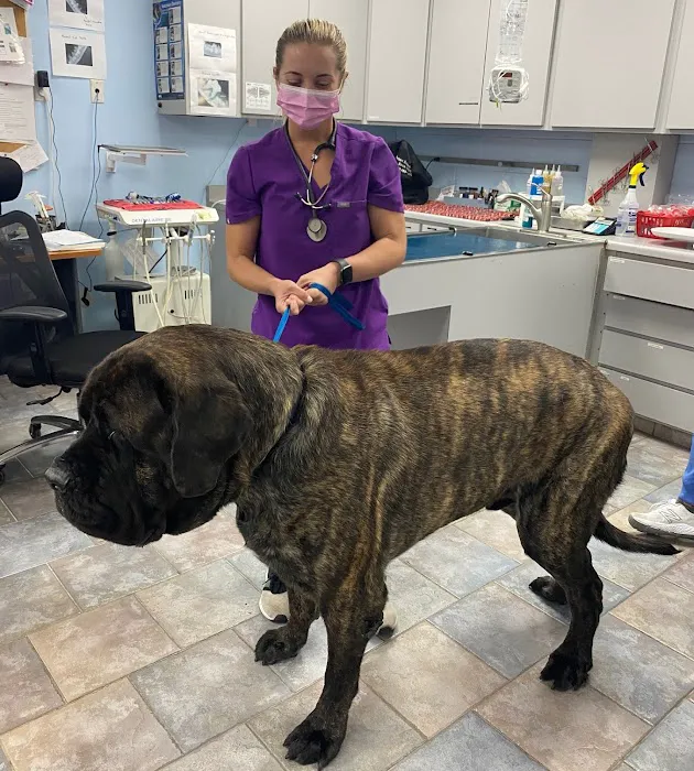 Tustana Animal Hospital Picture 7