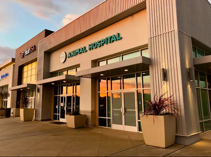 Tustin Legacy Animal Hospital Picture 2
