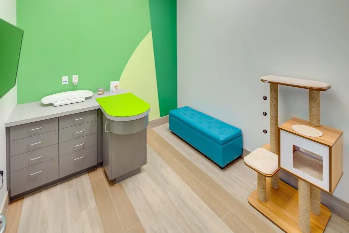 Tustin Legacy Animal Hospital Picture 5