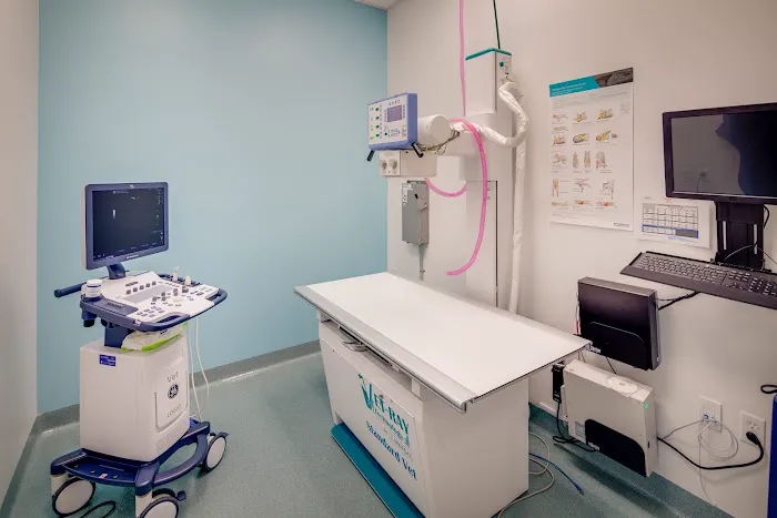 Tustin Legacy Animal Hospital Picture 7