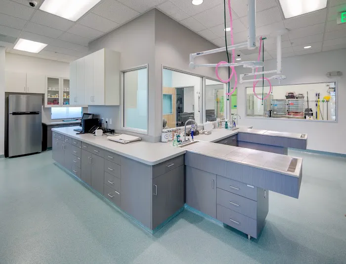 Tustin Legacy Animal Hospital Picture 10