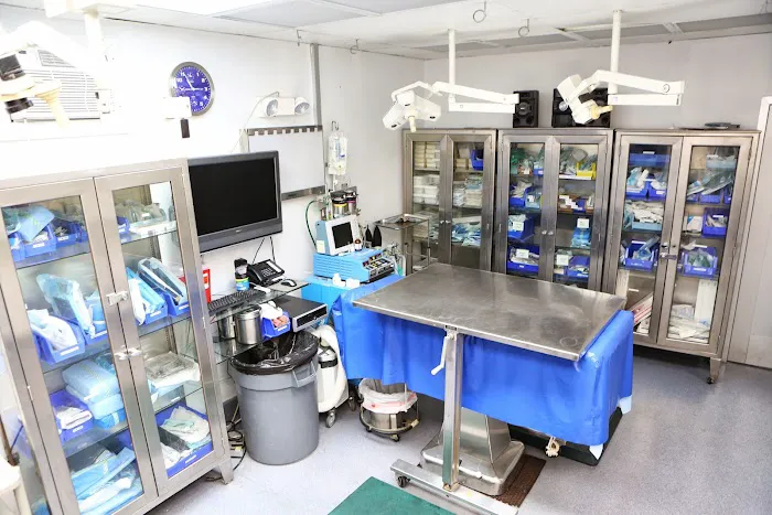 Back Bay Veterinary Hospital Picture 5