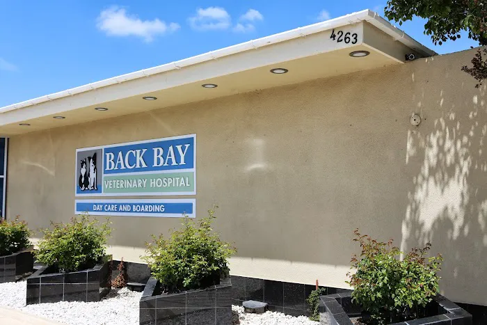 Back Bay Veterinary Hospital Picture 10