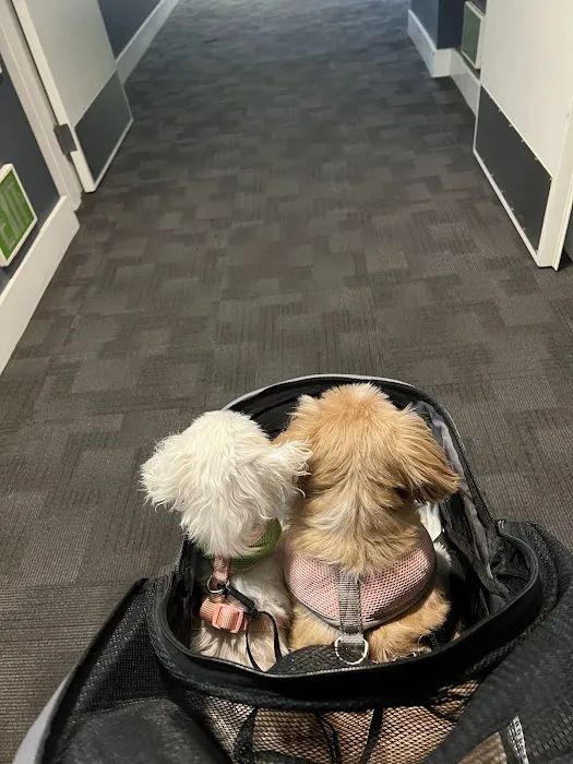 Pacific CARE Pet Emergency & Specialty Picture 9