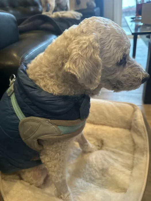 Family Pet Clinic Picture 1