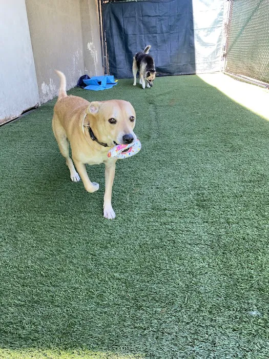 Anaheim Hills Pet Clinic Picture 6