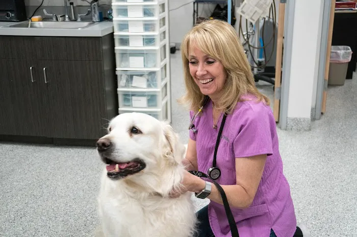 Anaheim Hills Pet Clinic Picture 9