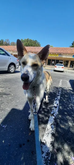 Yorba Linda Pet Care Center Picture 3