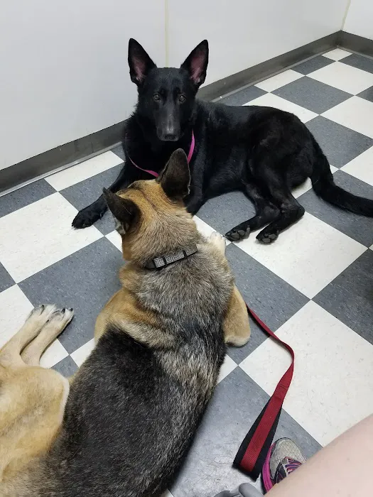 Yorba Linda Pet Care Center Picture 7