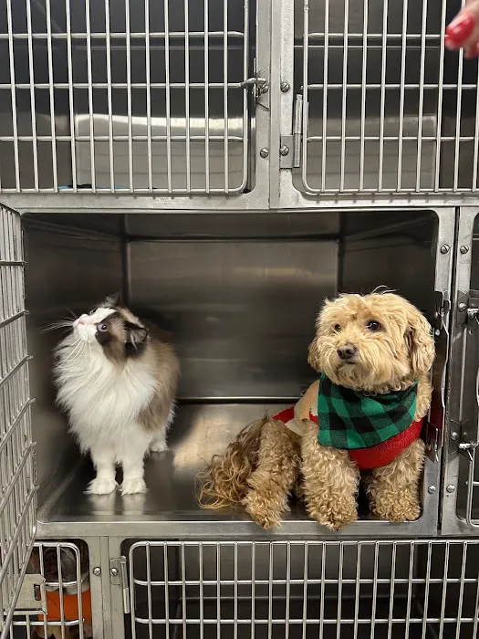 Yorba Linda Pet Care Center Picture 10