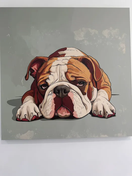 Better Health Animal Hospital Picture 5