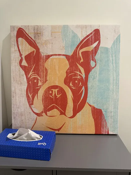 Better Health Animal Hospital Picture 4