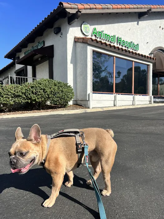 Better Health Animal Hospital Picture 2