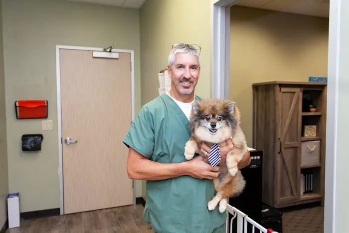 The WellPet Center Veterinary Hospital Picture 3